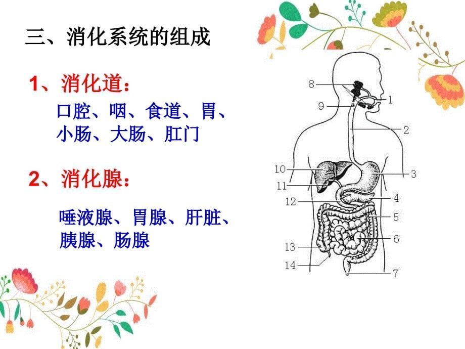 九年级生物第四单元第二章人体营养人教新_第5页