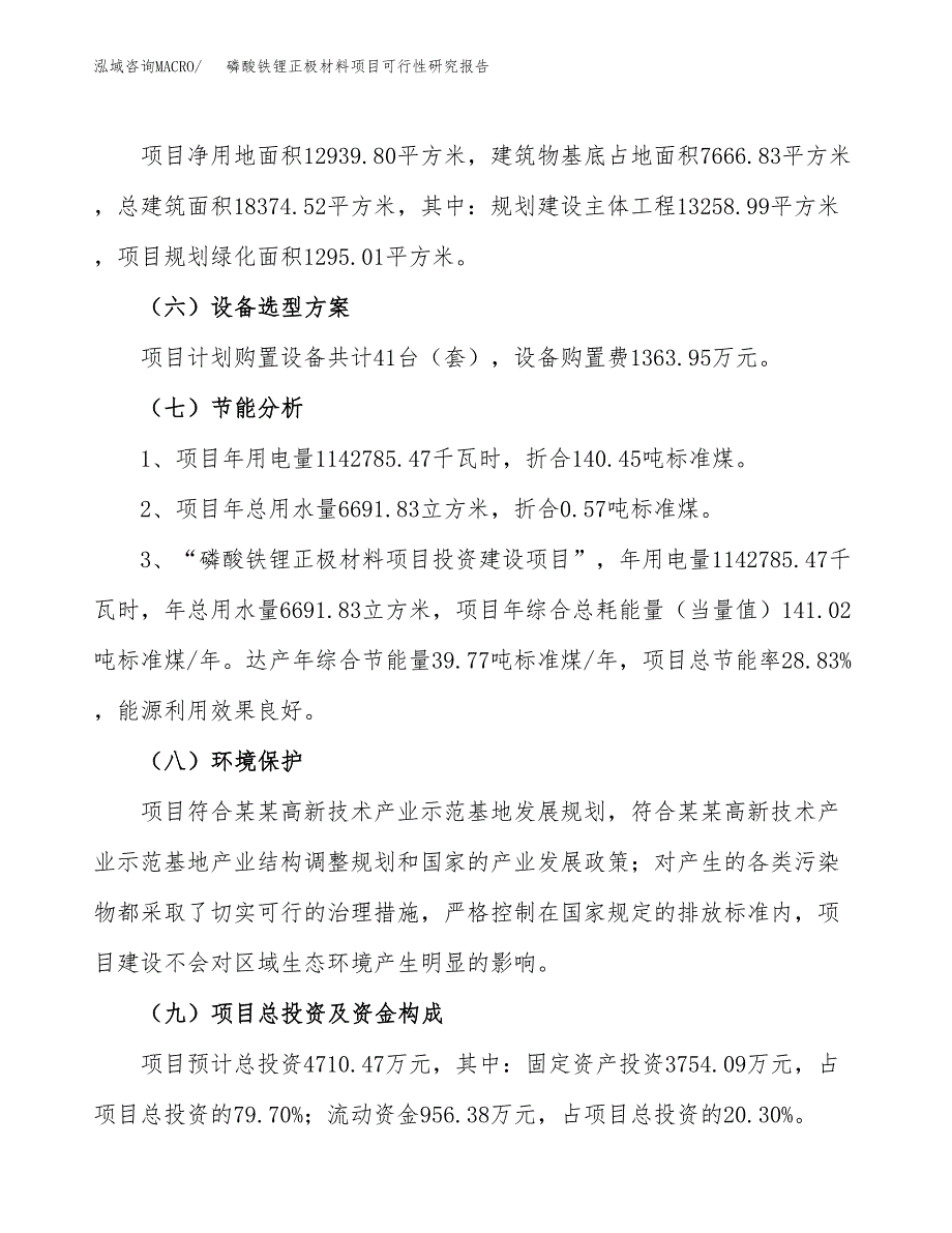 磷酸铁锂正极材料项目可行性研究报告(立项及备案申请).docx_第2页