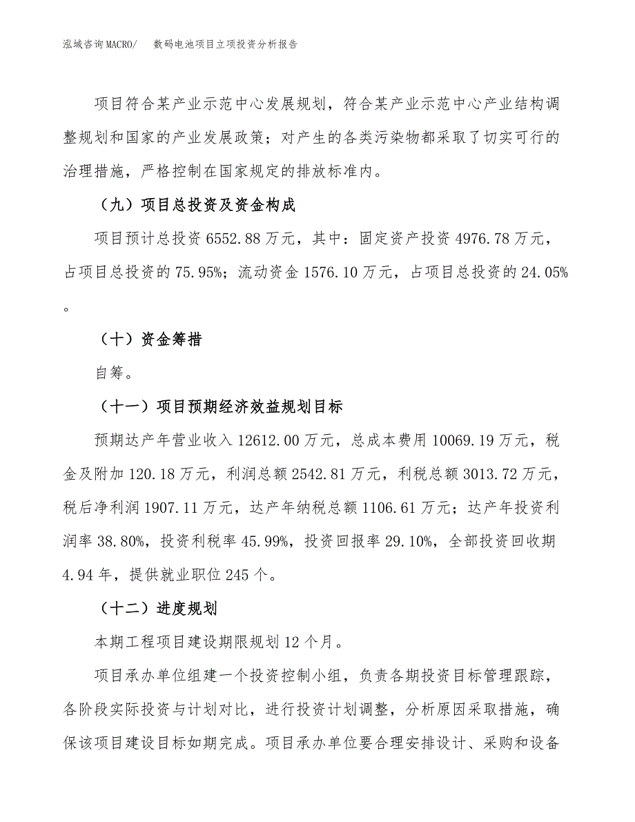 数码电池项目立项投资分析报告_第4页