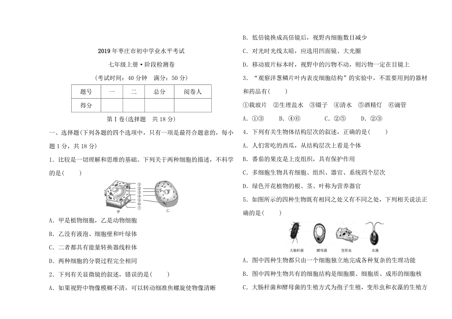 七年级上册&amp#183;阶段检测卷 (2).doc_第1页