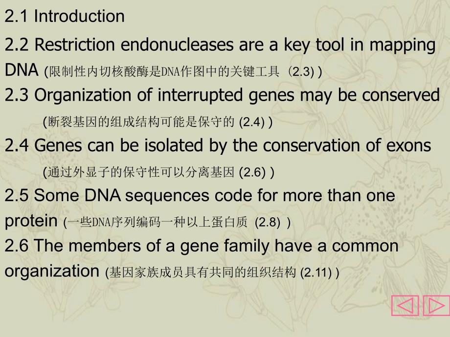 分子生物学L3断裂基因_第2页