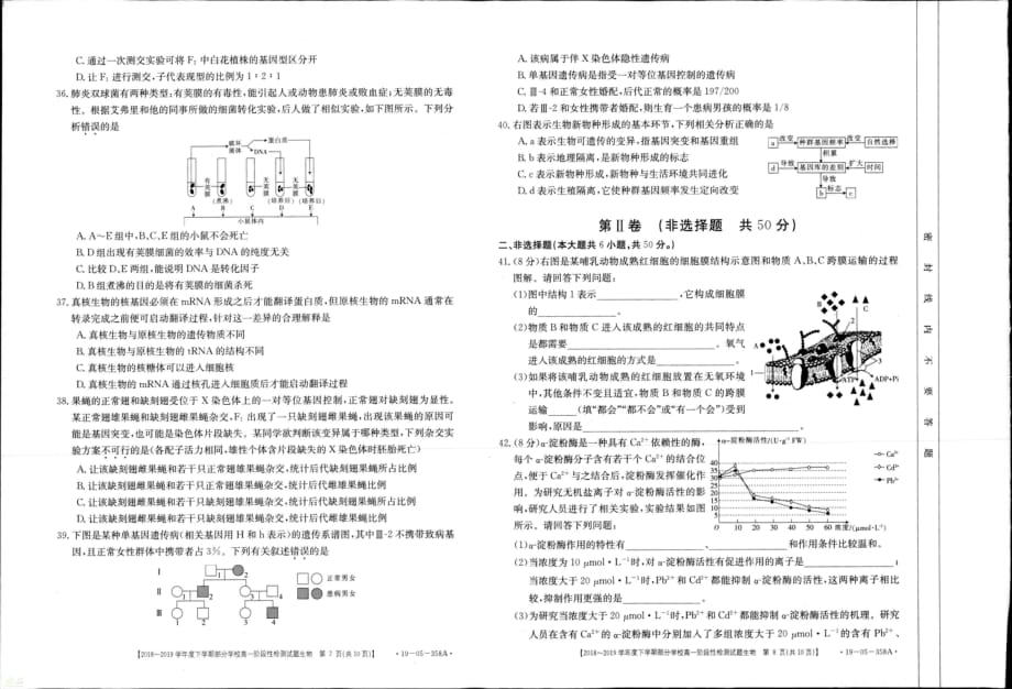 山东省淄博市部分学校2018-2019学年高一生物下学期期末考试试题_第4页