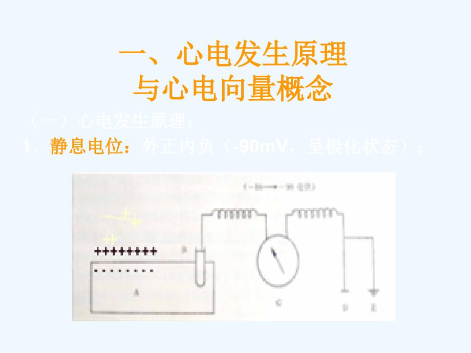 心电图基本知识剖析_第4页