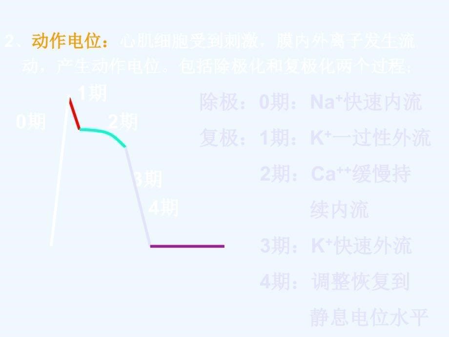 心电图基本知识剖析_第5页