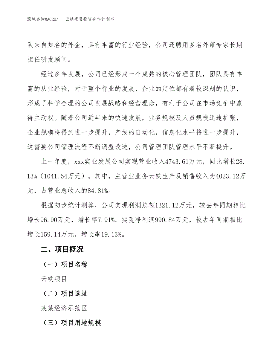 云铁项目投资合作计划书模板.docx_第2页