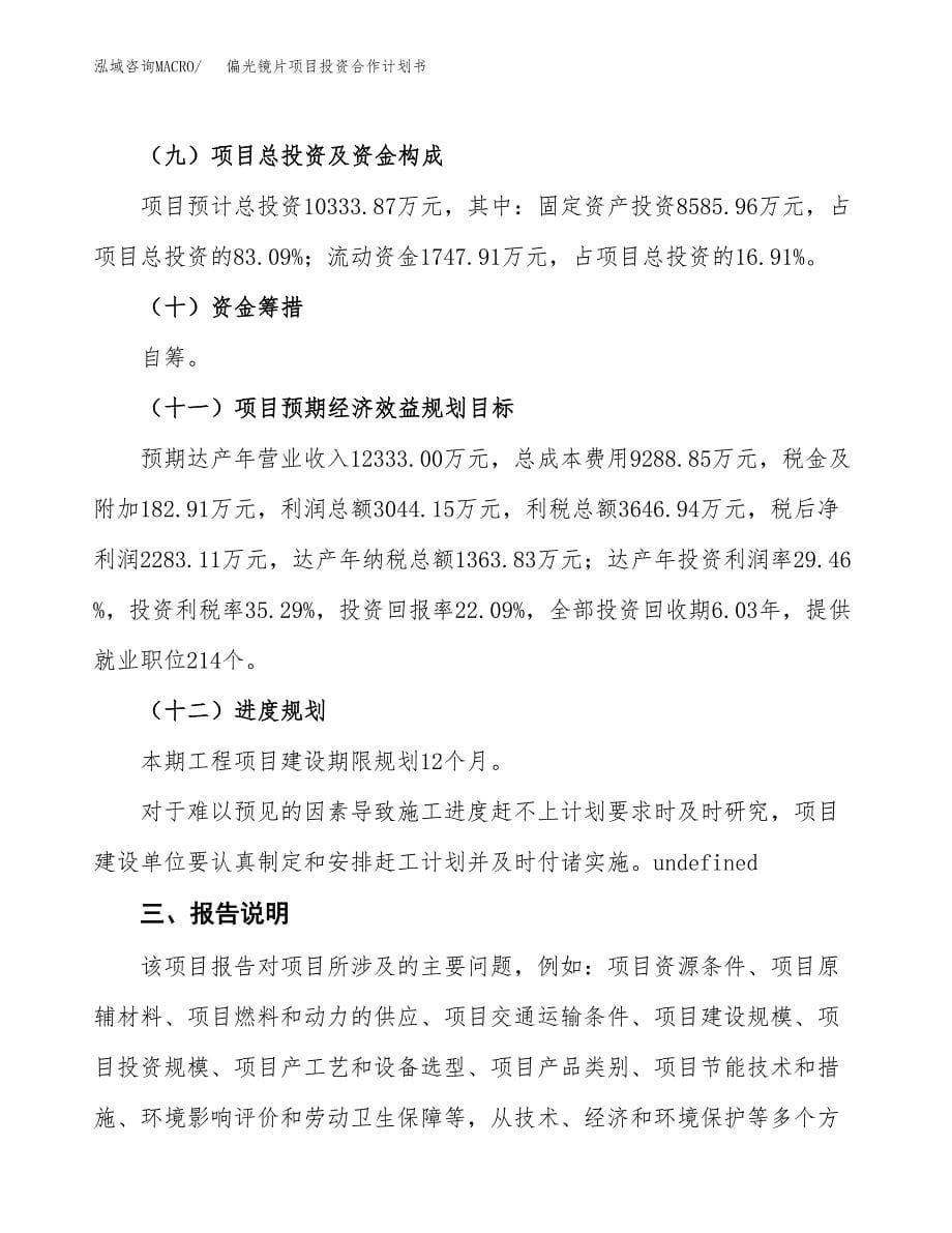 偏光镜片项目投资合作计划书模板.docx_第5页