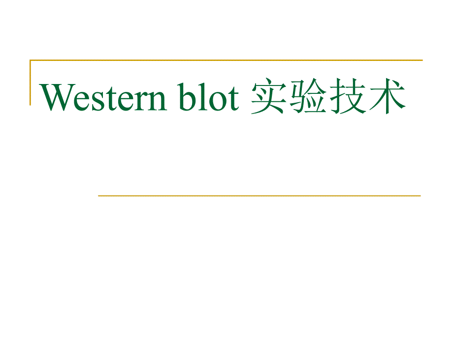 western blot实验技术_第1页