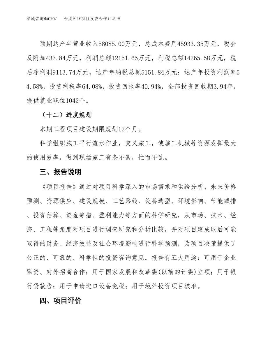 合成纤维项目投资合作计划书模板.docx_第5页