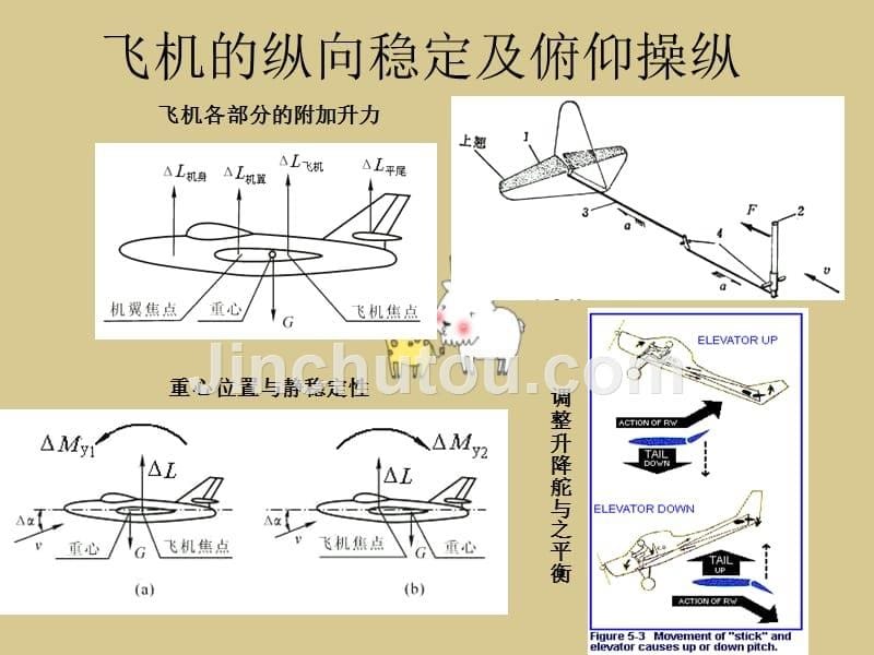 实验力学_第5页