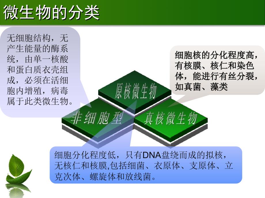 食品化验员微生物检测工作知识指导培训_第3页