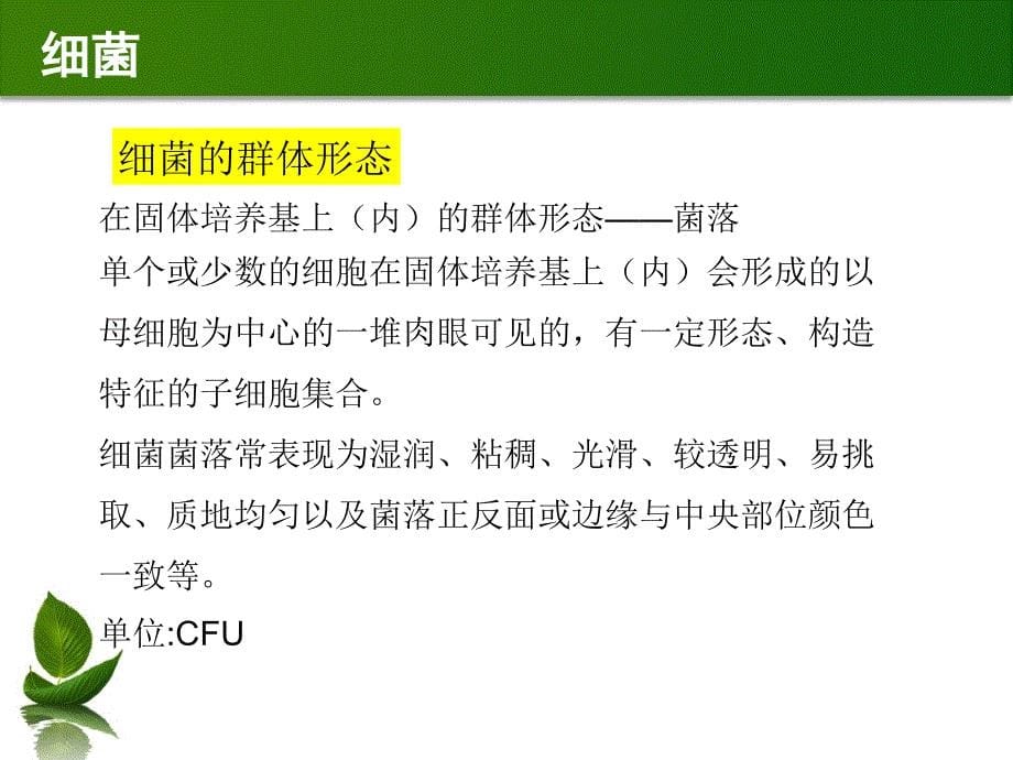 食品化验员微生物检测工作知识指导培训_第5页