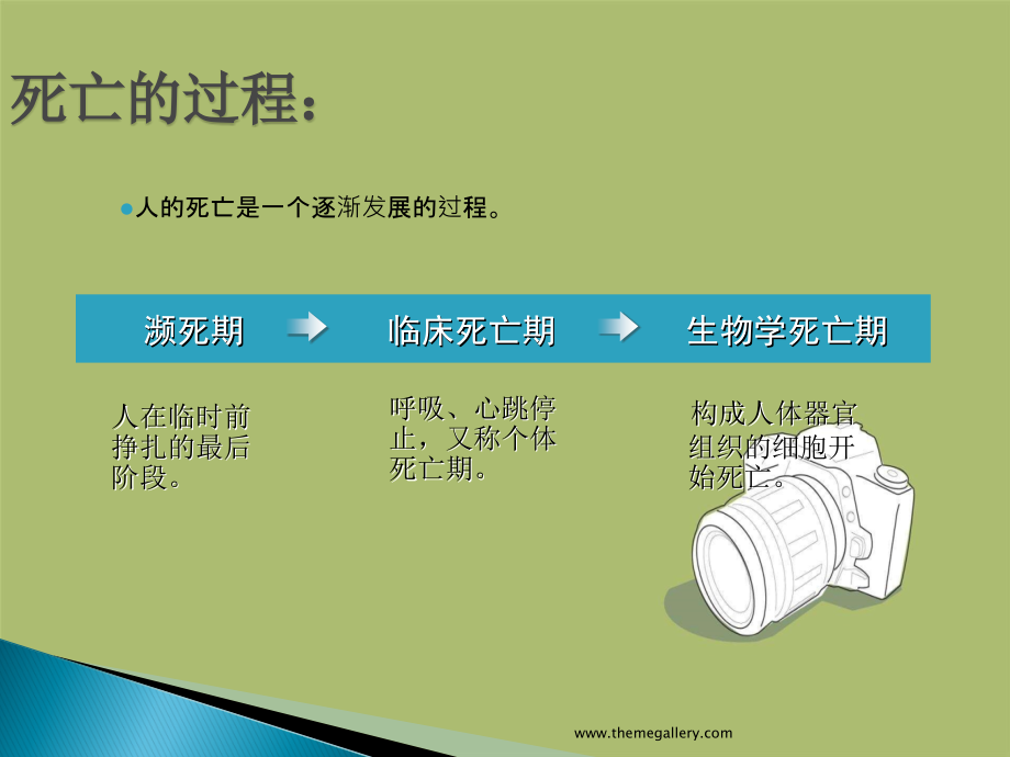 法医病理学概述_第4页