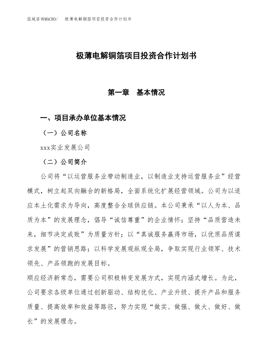 极薄电解铜箔项目投资合作计划书模板.docx_第1页