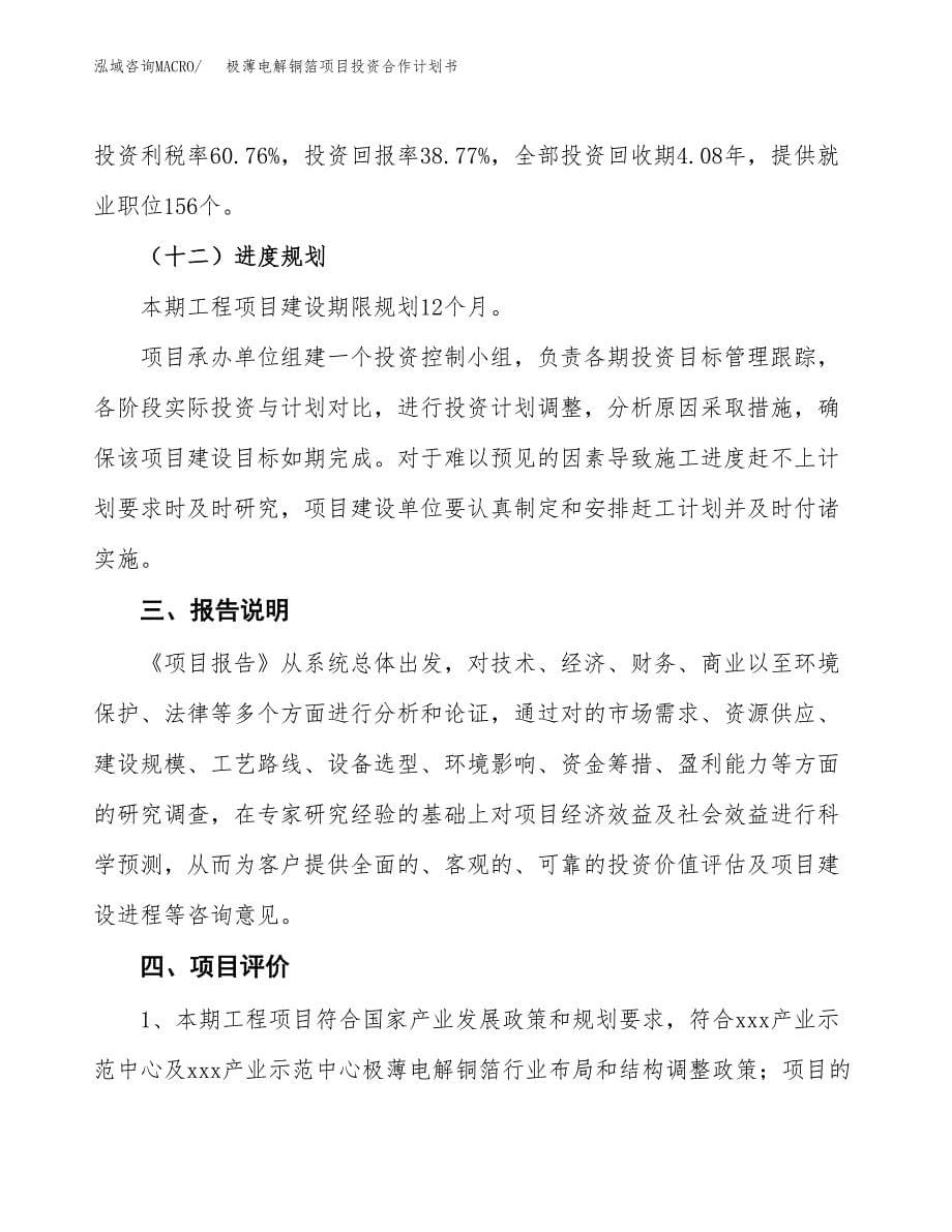 极薄电解铜箔项目投资合作计划书模板.docx_第5页