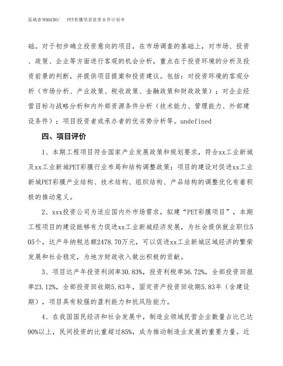 PET彩膜项目投资合作计划书模板.docx_第5页