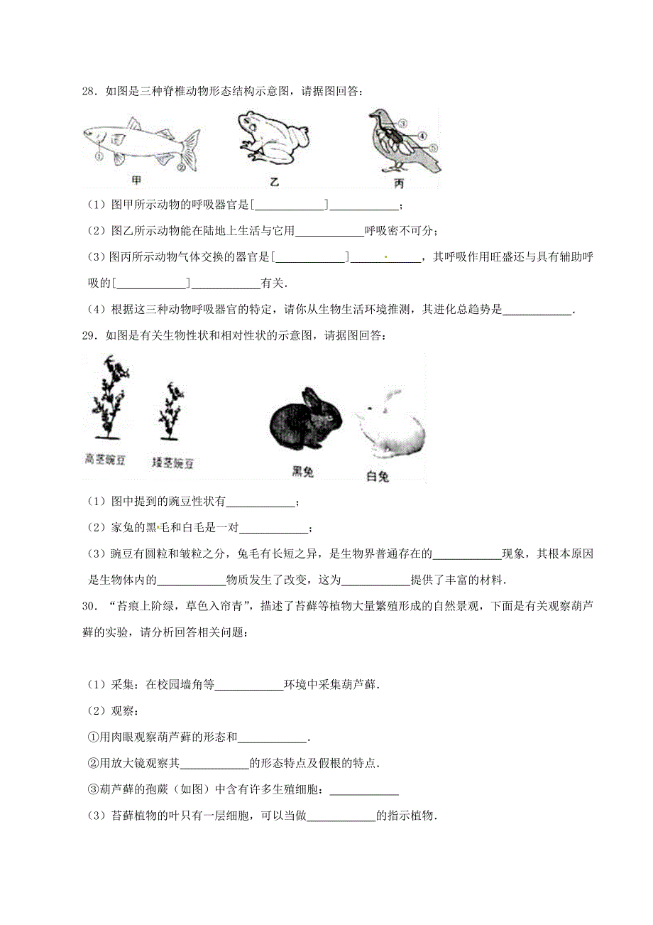 2016年中考真题精品解析 生物（湖南岳阳卷）精编word版（原卷版）.doc_第4页