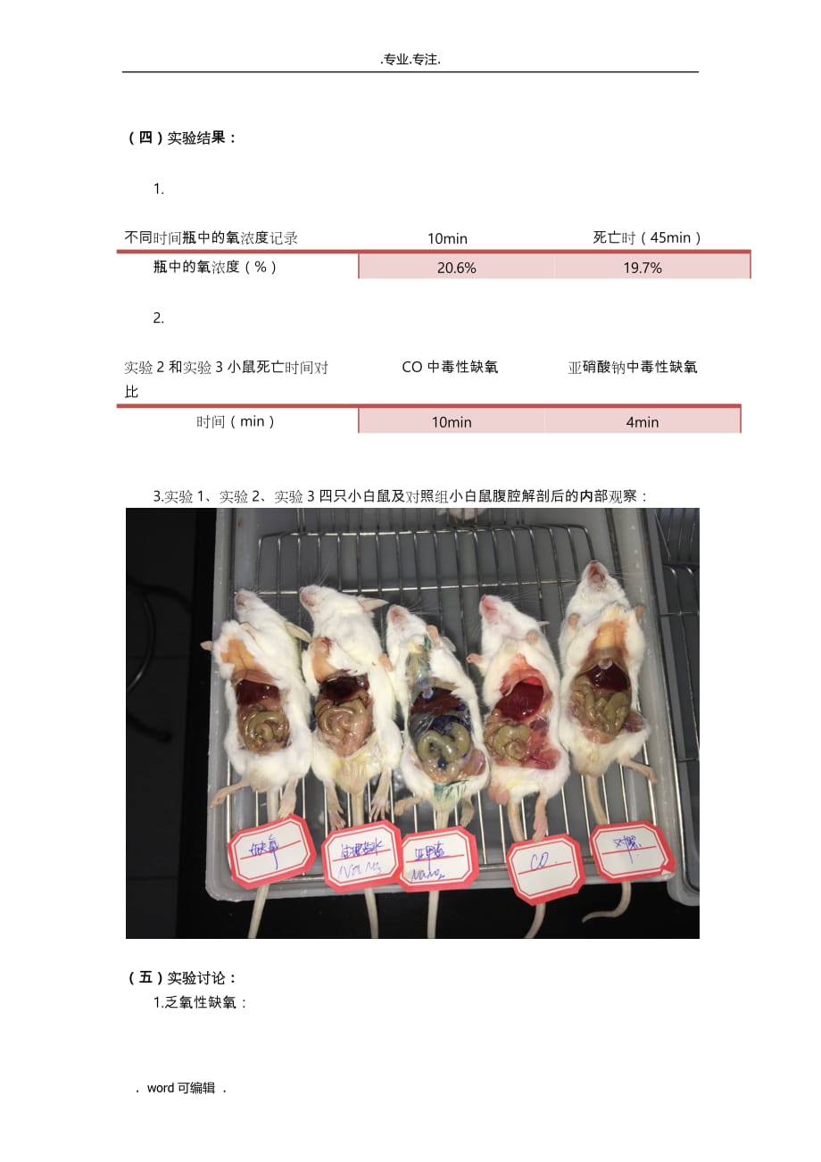 机能实验学实验性缺氧_第2页