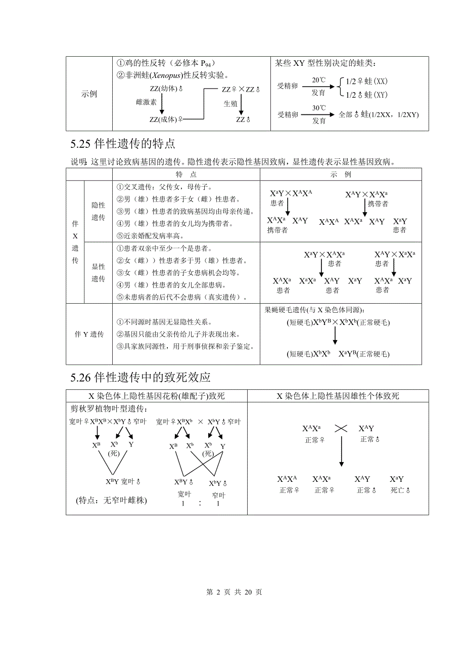 183.生物的遗传变异与进化下部分_第2页