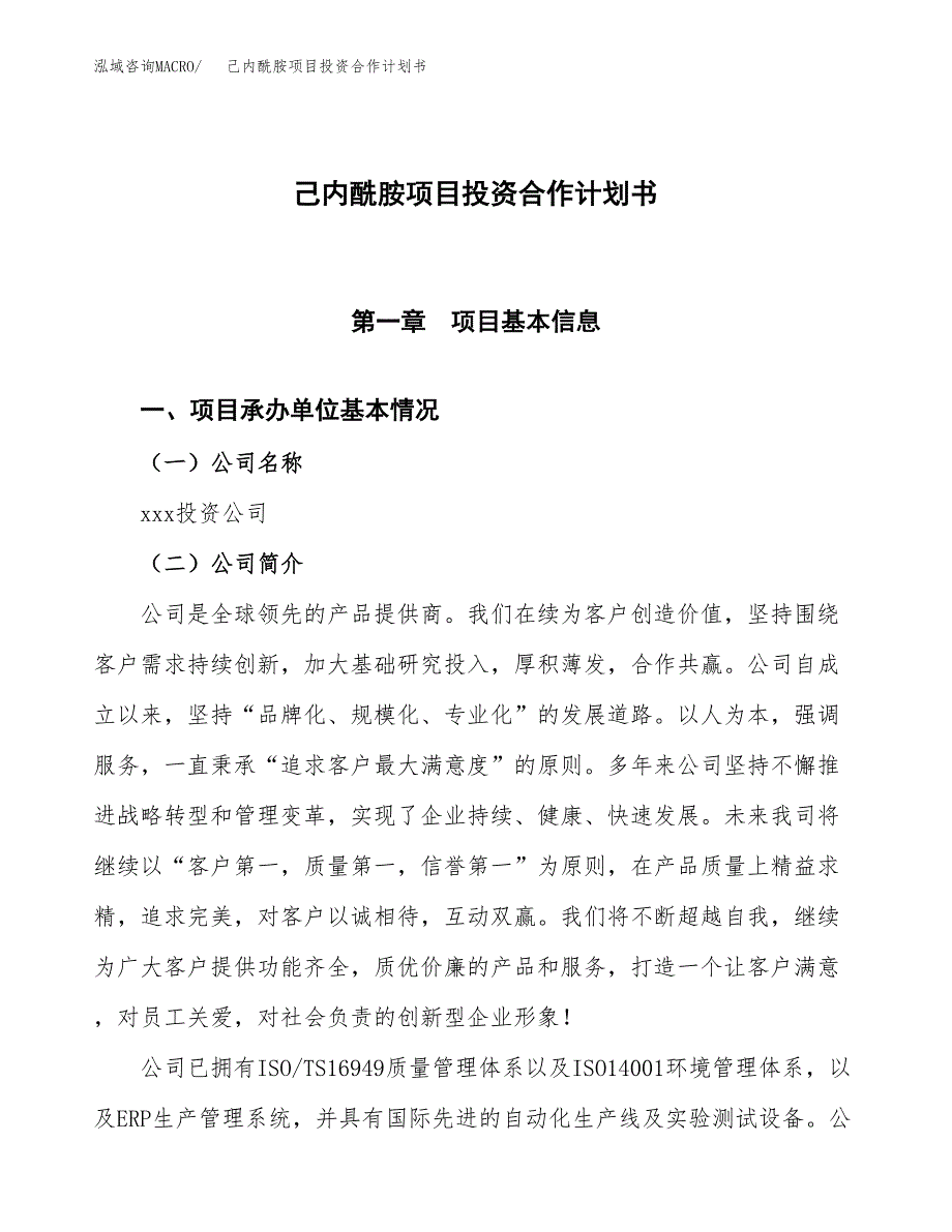 己内酰胺项目投资合作计划书模板.docx_第1页