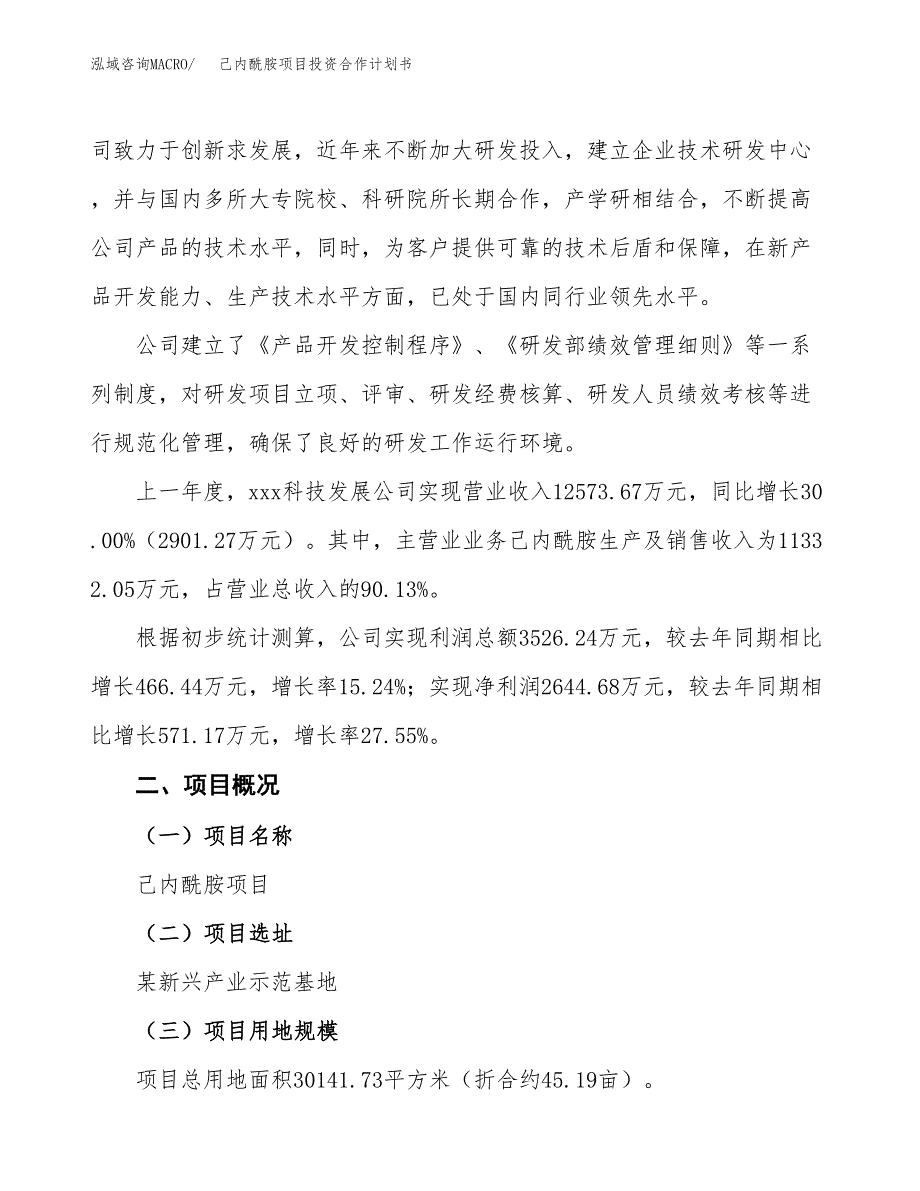 己内酰胺项目投资合作计划书模板.docx_第2页