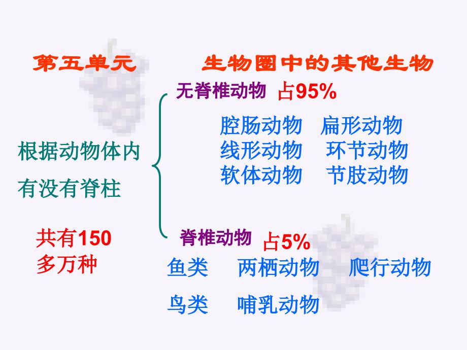 八年级生物上册总专题复习脊椎动物和无脊椎动物_第1页