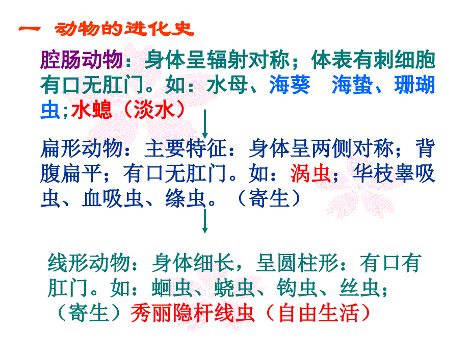 八年级生物上册总专题复习脊椎动物和无脊椎动物_第2页