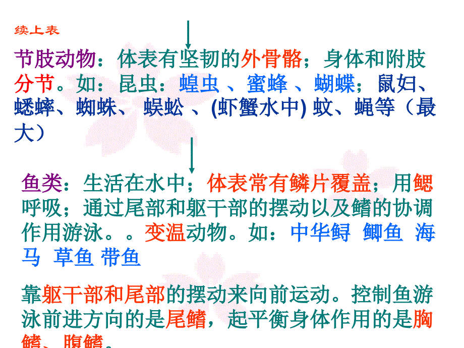 八年级生物上册总专题复习脊椎动物和无脊椎动物_第4页