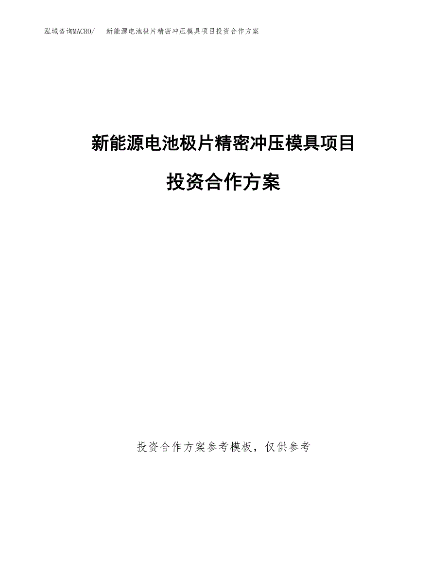 新能源电池极片精密冲压模具项目投资合作方案(模板及范文).docx_第1页