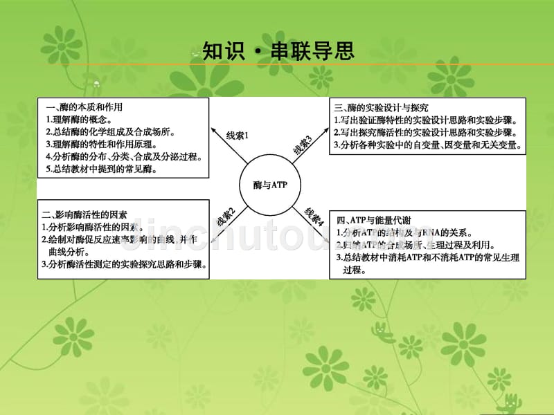 高三二轮专题复习生物专题二细胞代谢小专题4酶和ATP_第5页