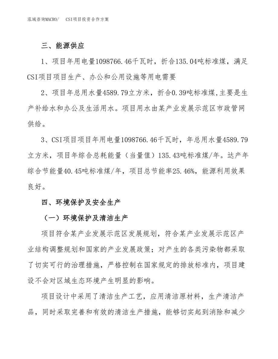 CSI项目投资合作方案(模板及范文).docx_第5页