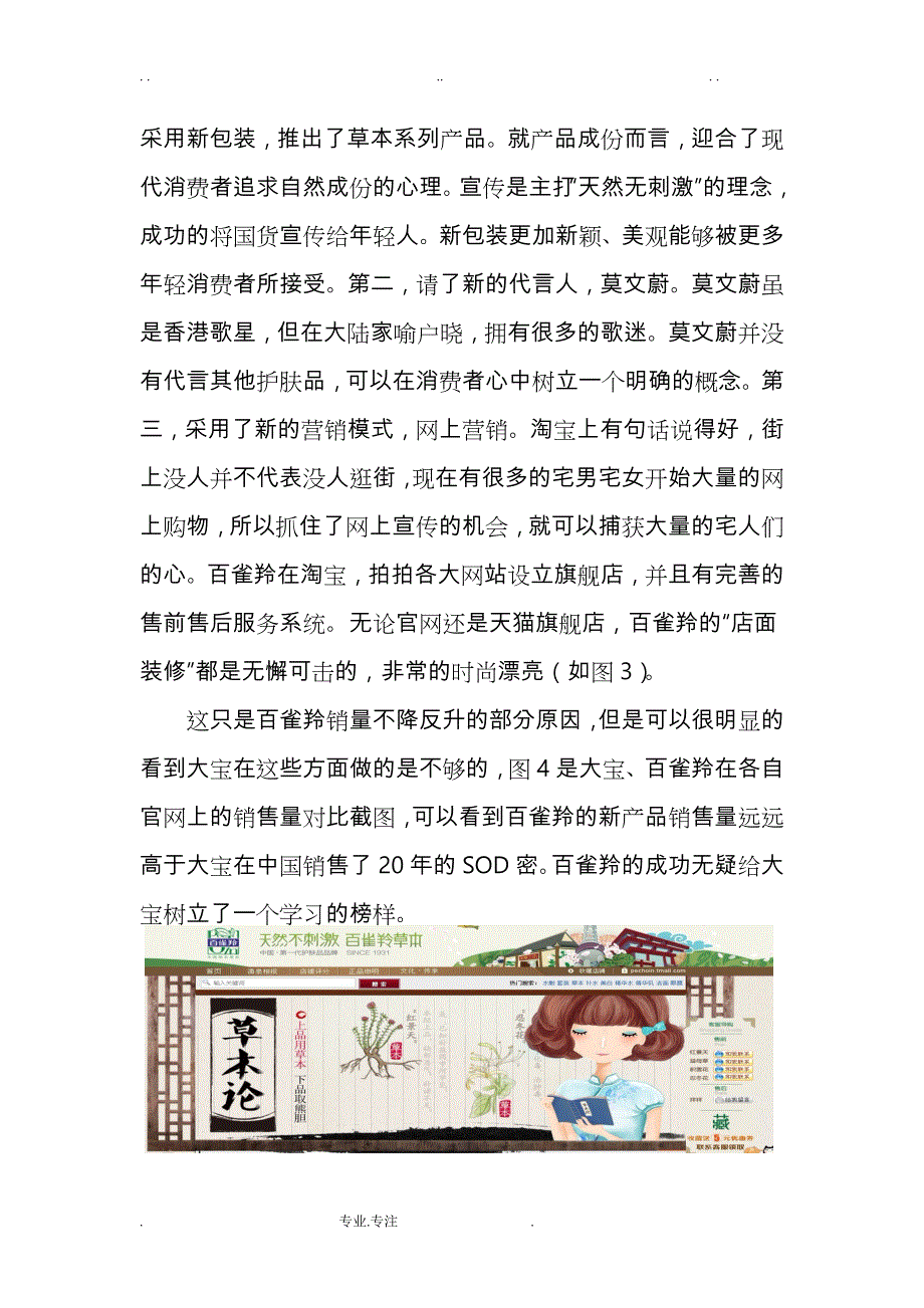 大宝市场调研报告书_第2页