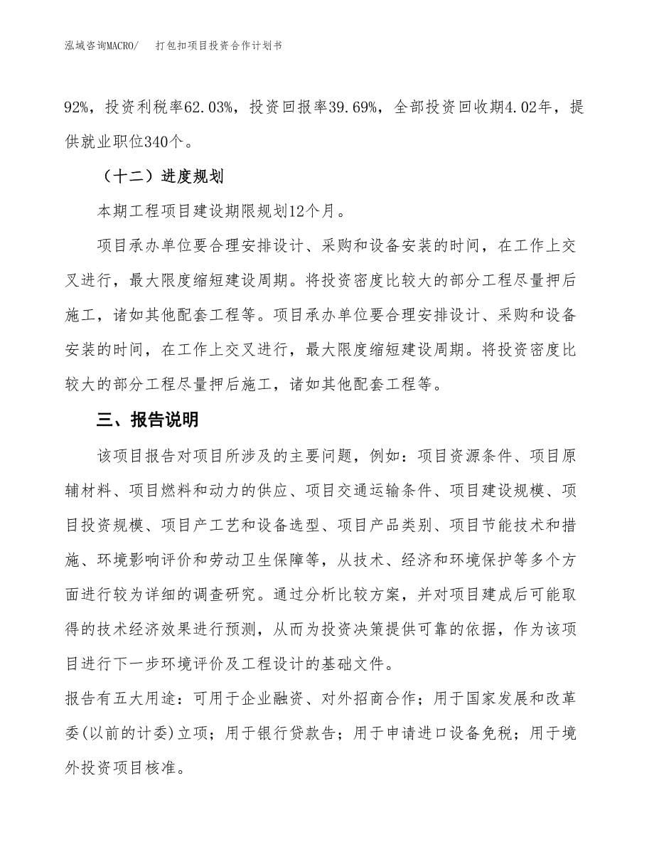 打包扣项目投资合作计划书模板.docx_第5页