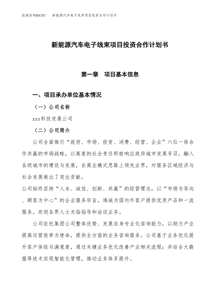 新能源汽车电子线束项目投资合作计划书模板.docx_第1页