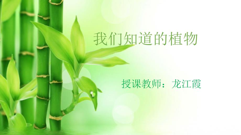 教科版一年级科学（上册）_1.1我们知道的植物__第1页