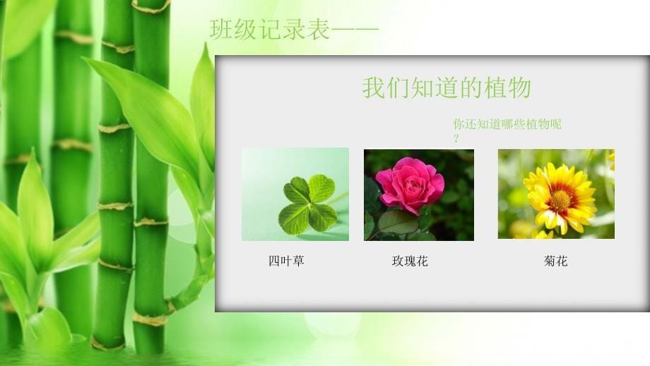 教科版一年级科学（上册）_1.1我们知道的植物__第5页