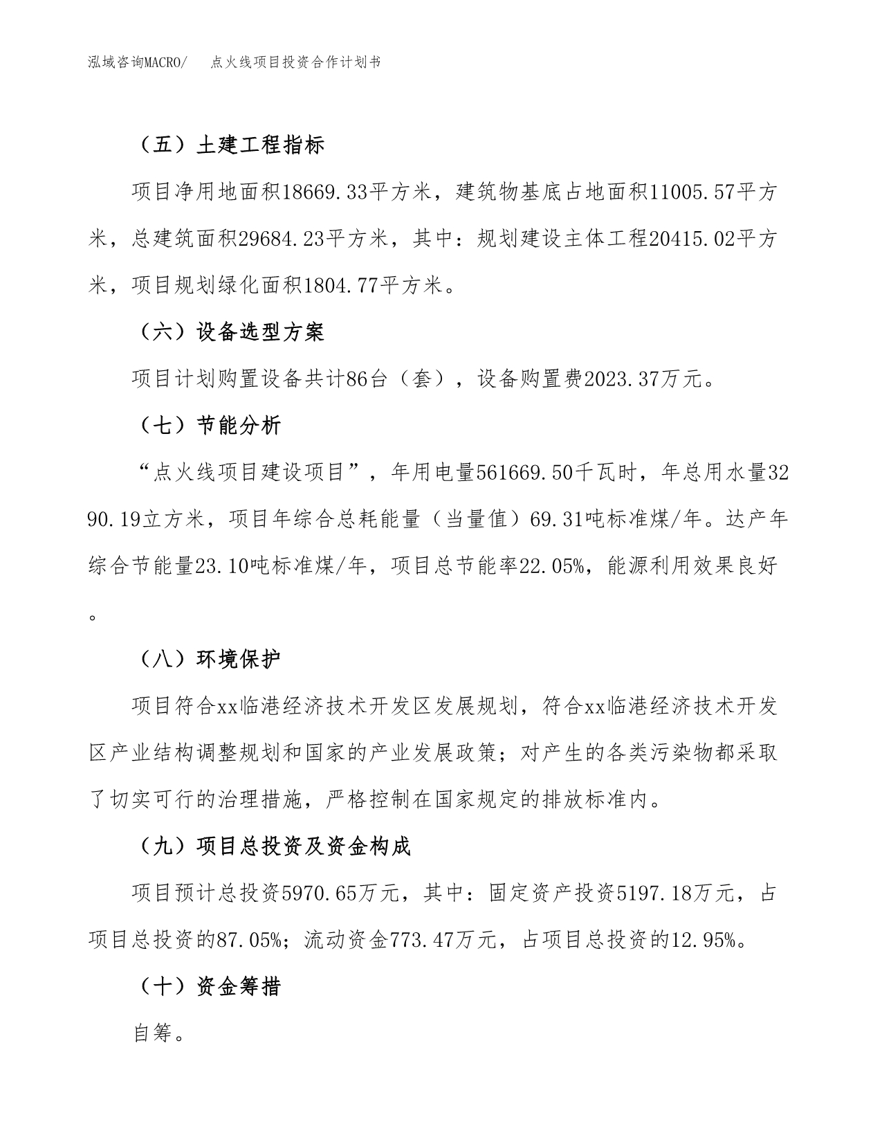 点火线项目投资合作计划书模板.docx_第3页