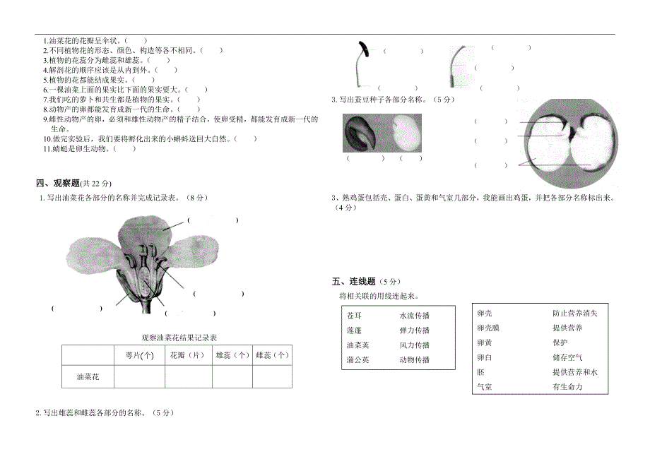 四年级下册科学试题第二单元新的生命教科版(含答案)_第2页