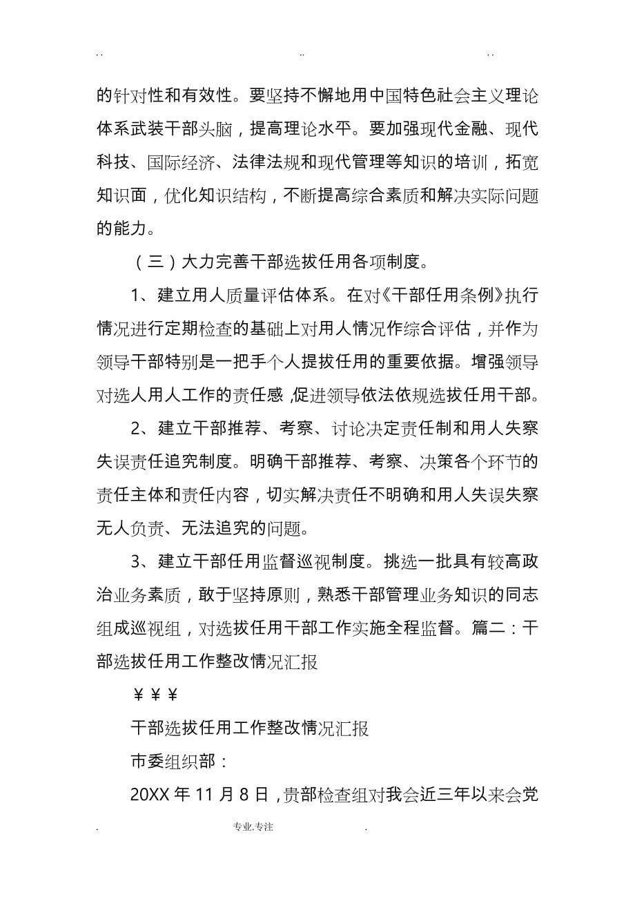 在干部选拔任用中存在问题的整改措施_第5页