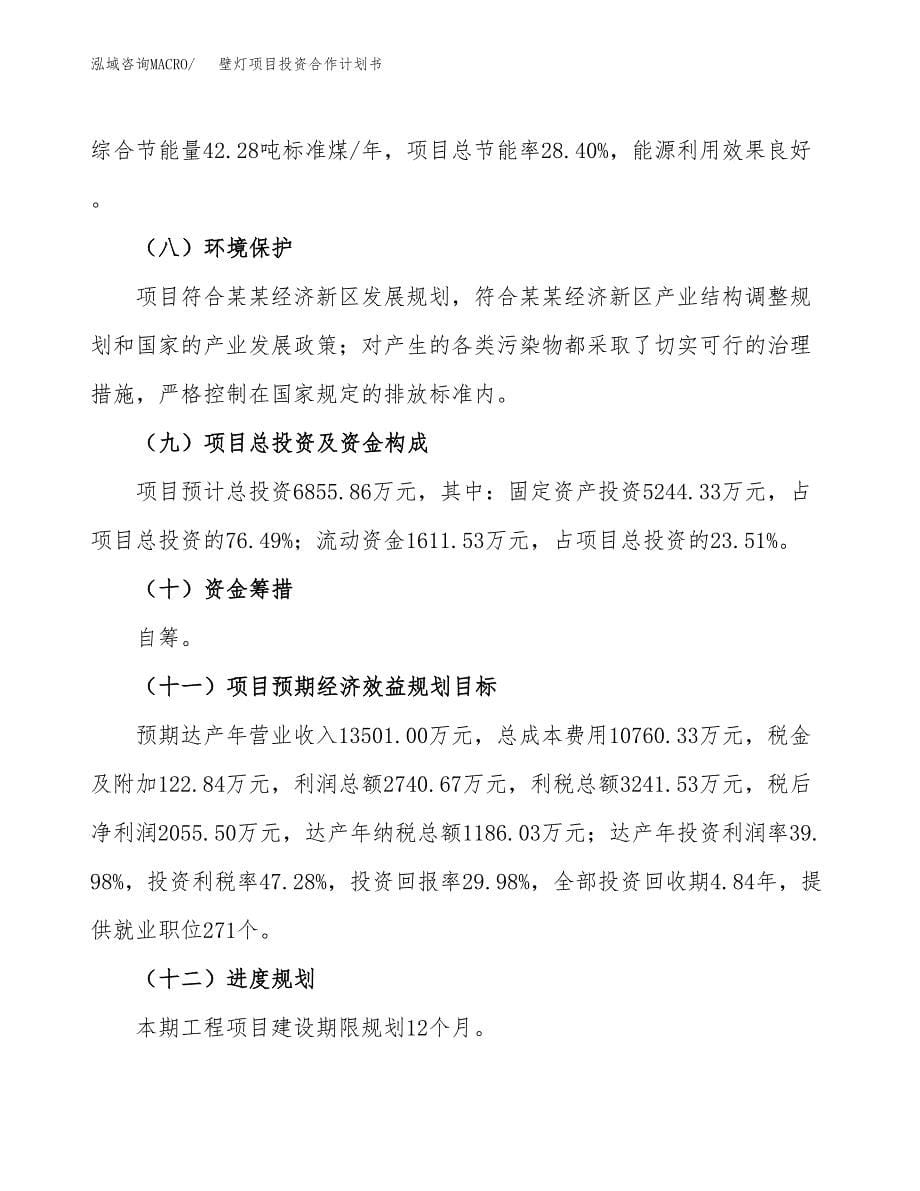 壁灯项目投资合作计划书模板.docx_第5页