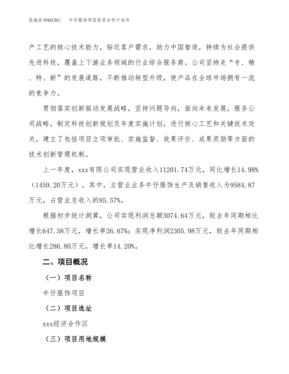 牛仔服饰项目投资合作计划书模板.docx_第2页