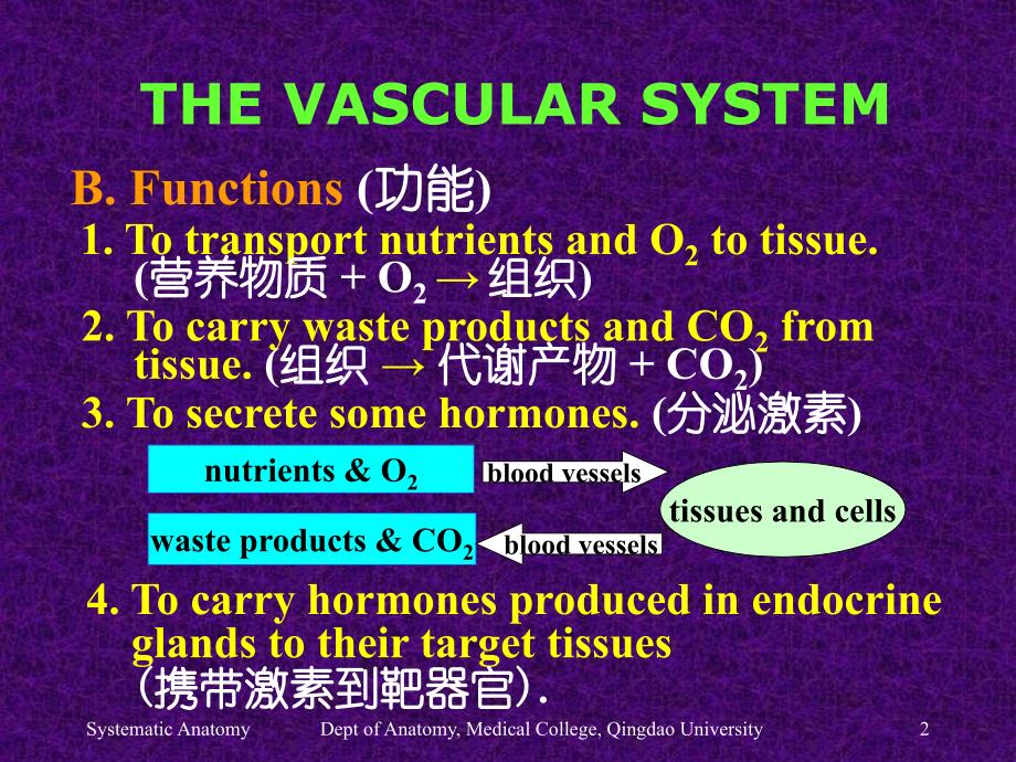 PARTTHREETHEVASCULARSYSTEM脉管系统_第2页