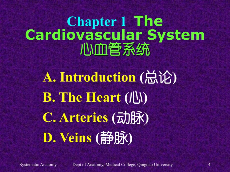 PARTTHREETHEVASCULARSYSTEM脉管系统_第4页