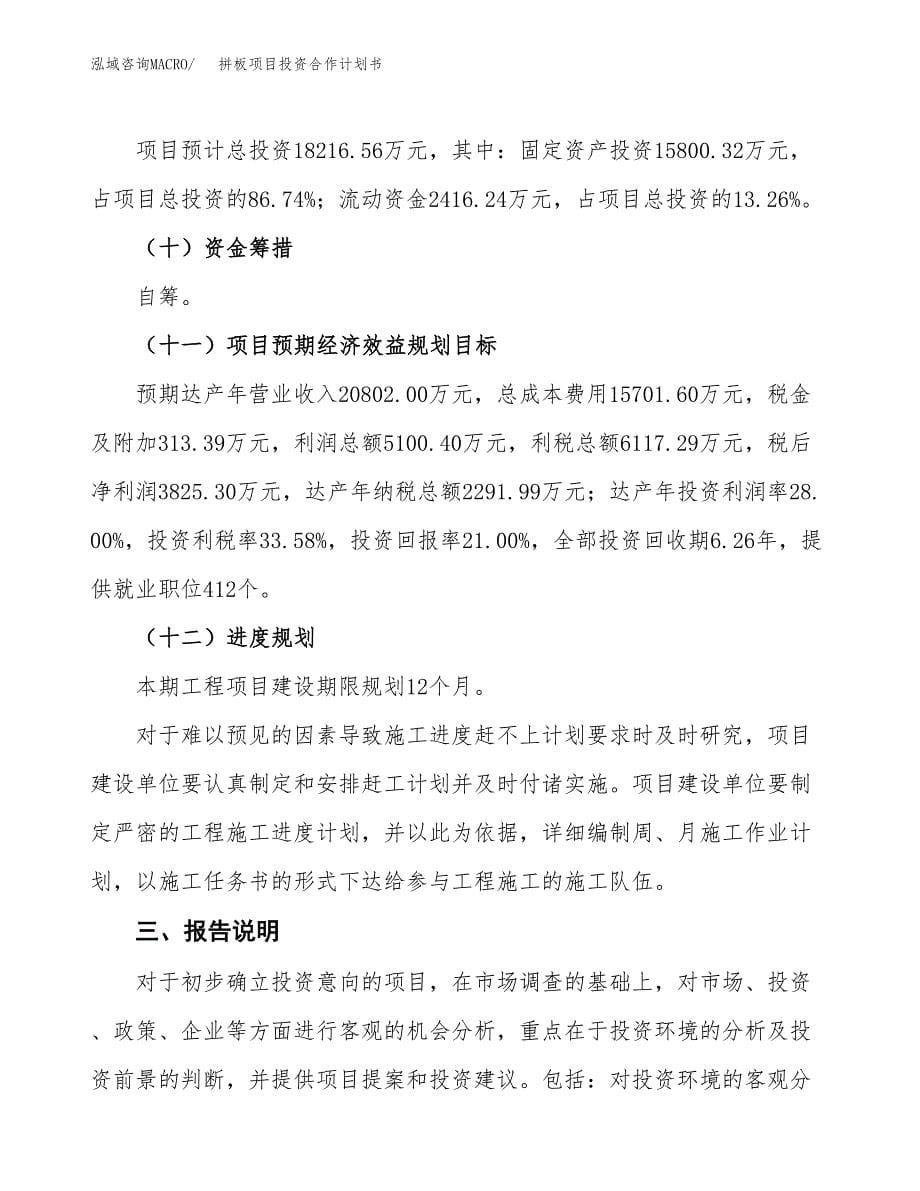 拼板项目投资合作计划书模板.docx_第5页