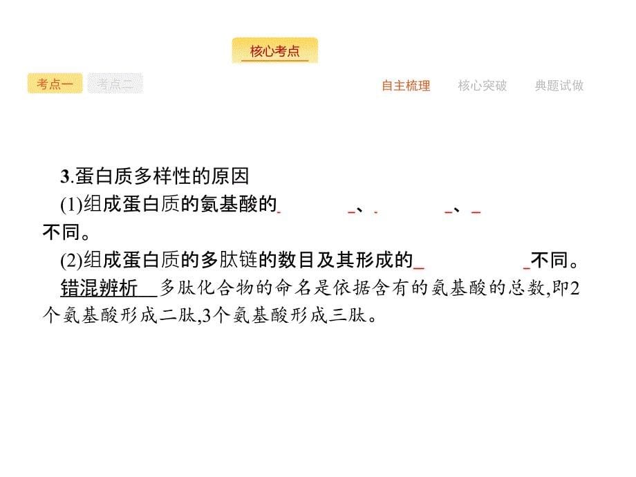 高三生物苏教一轮专题复习蛋白质、核酸结构和功能_第5页