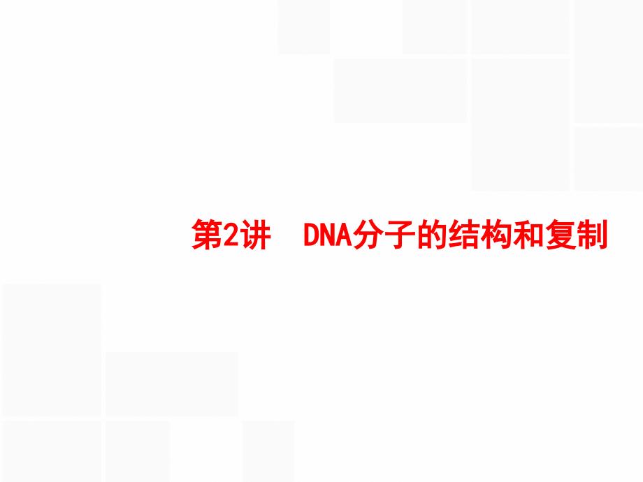 高三生物苏教一轮专题复习DNA分子结构和复制_第1页