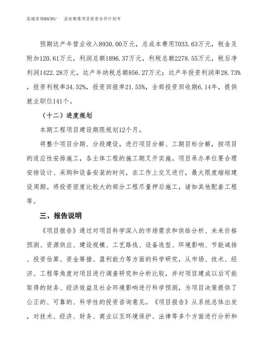 活性碳塔项目投资合作计划书模板.docx_第5页