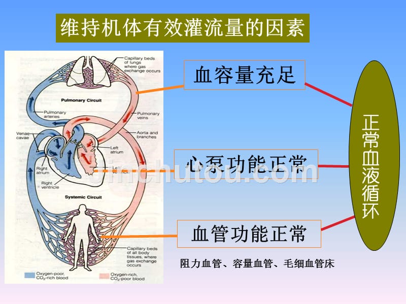 休克的监测与_护理_第5页