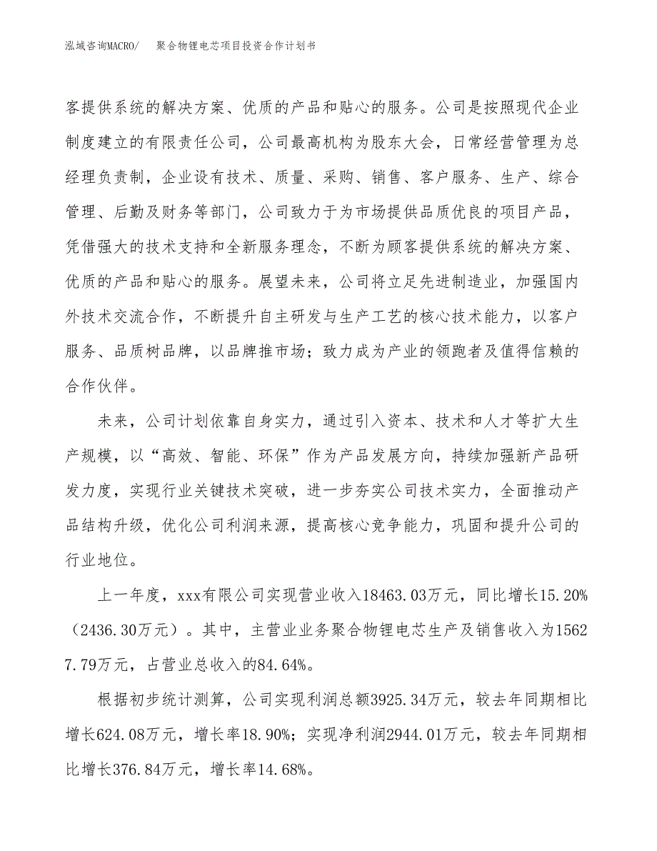 聚合物锂电芯项目投资合作计划书模板.docx_第2页