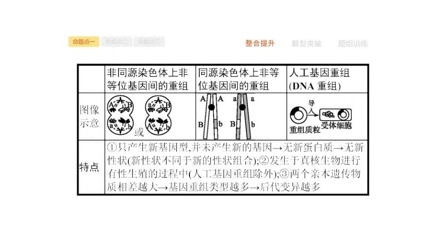 2020届 二轮复习 变异、育种和进化 课件37张（全国通用）_第5页