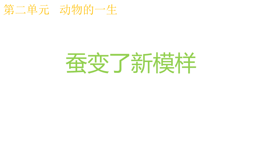 2020新教科版三年级科学下册《2.4蚕变了新模样》教学课件_第1页